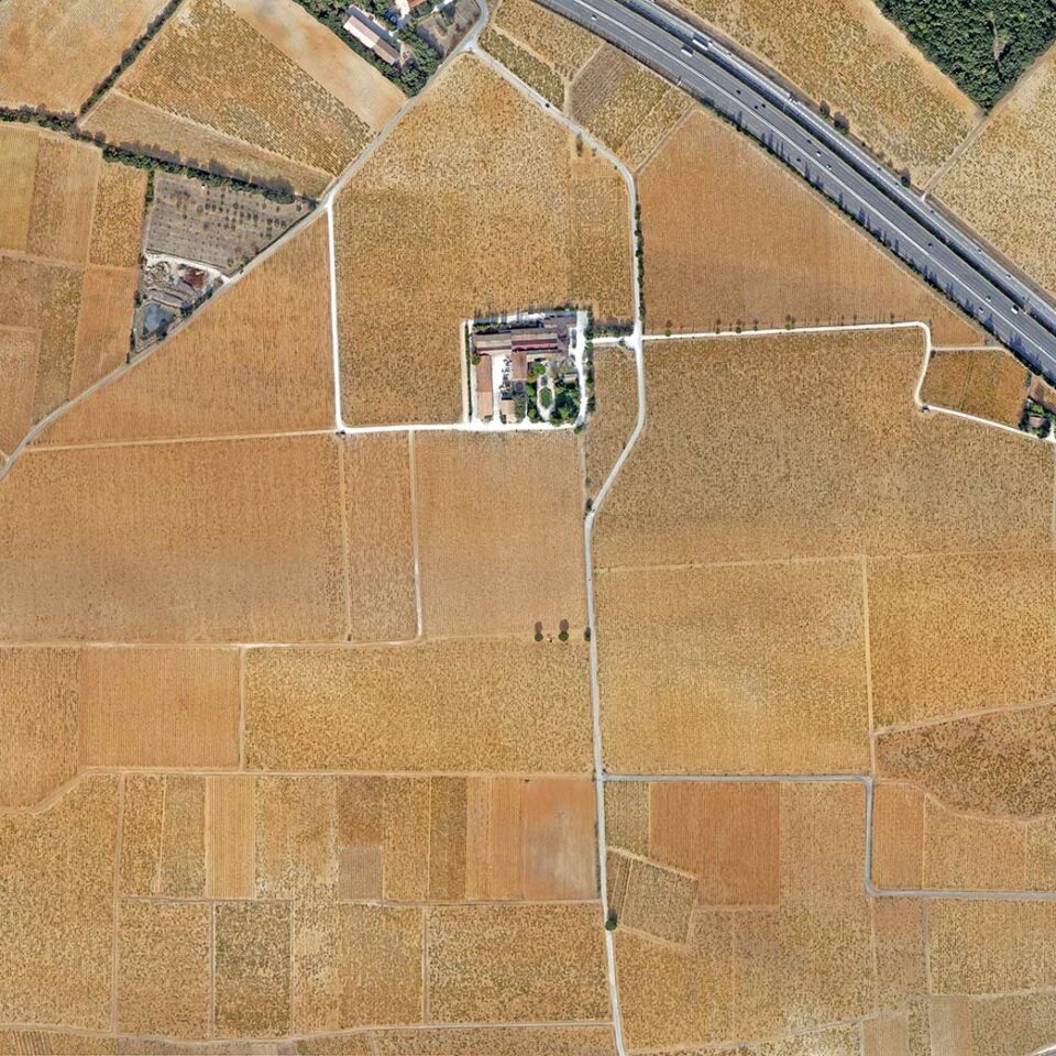 Orthophotographie domaine viticole